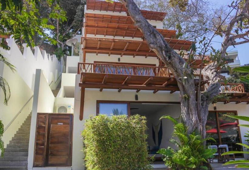 ジュニアスイート, Ysuri Sayulita