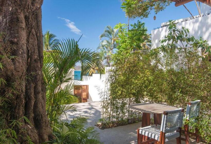 小型套房, Ysuri Sayulita