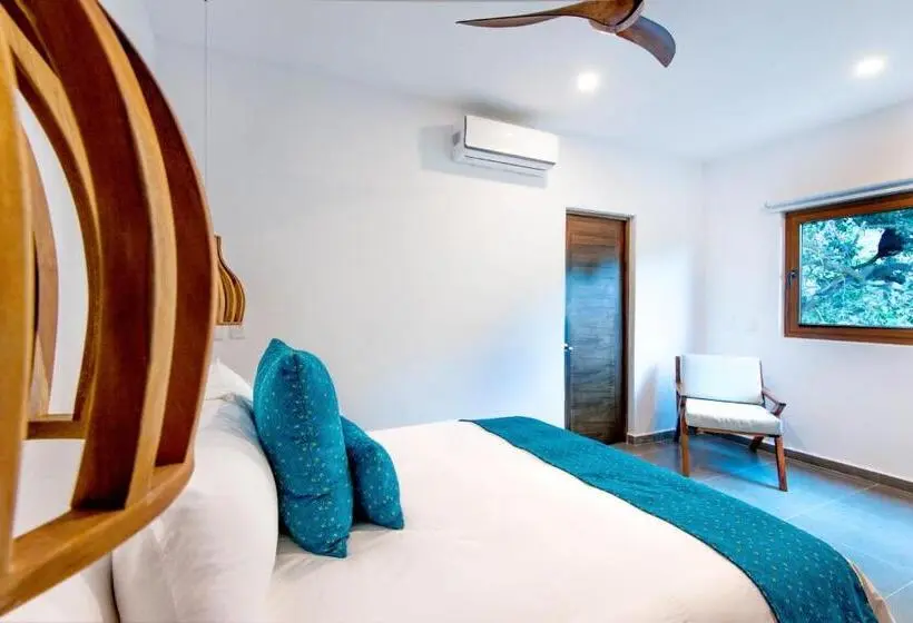 سوییت لوکس, Ysuri Sayulita