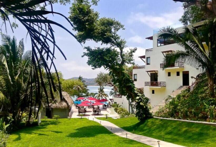 デラックススイート, Ysuri Sayulita