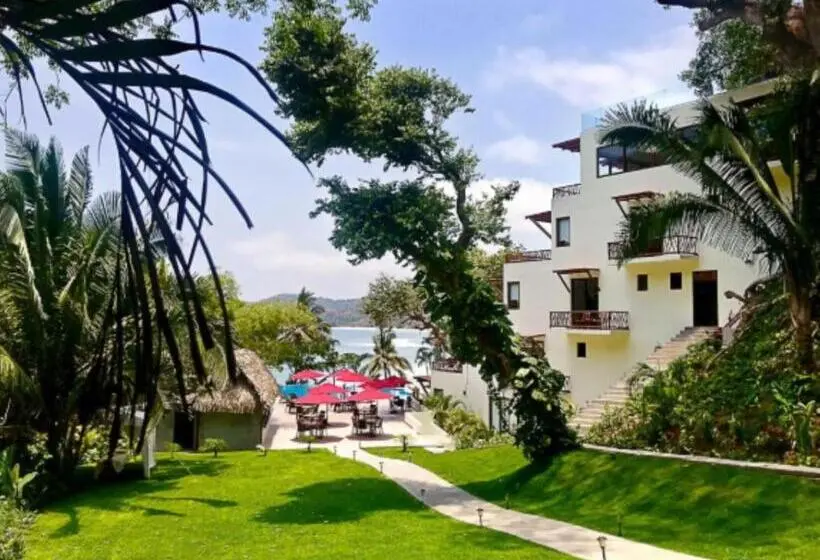 سوییت لوکس, Ysuri Sayulita