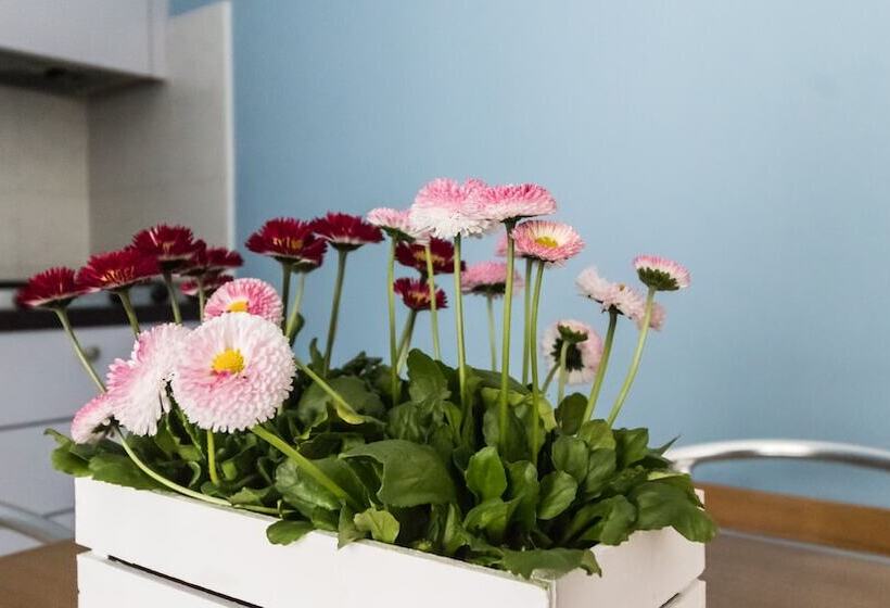 آپارتمان 1 خوابه با چشمانداز دریا, Residence Il Poggio