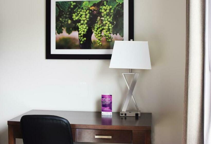 带特大床的标准间, Coast Oliver