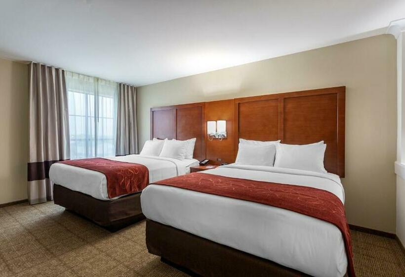 Люкс Кровать Квин, Comfort Suites