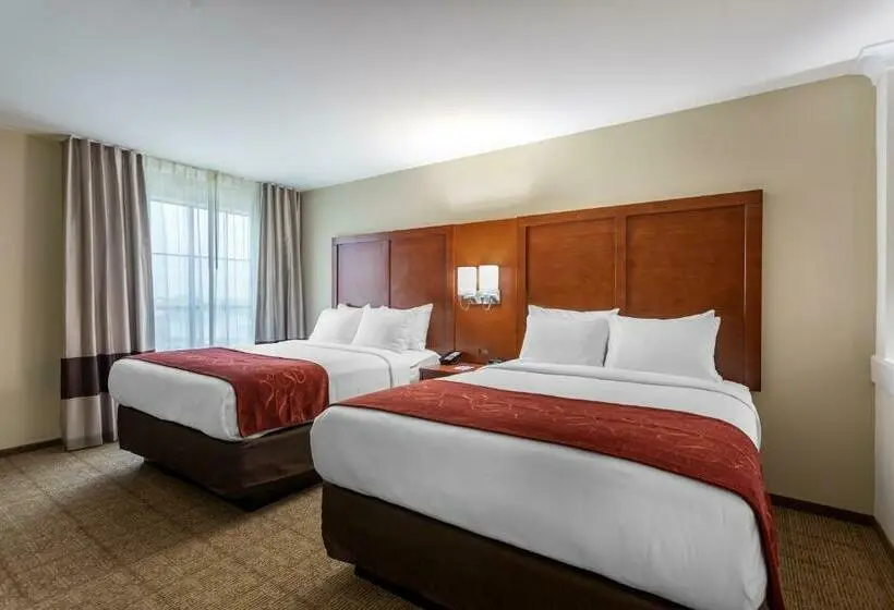 Suite Queen Bed, Comfort Suites
