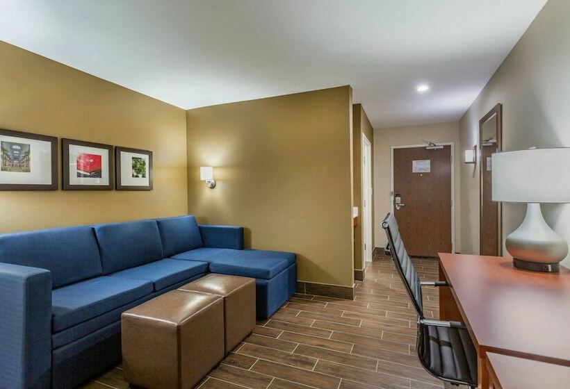 Люкс Адаптированный для Инвалидов, Comfort Suites