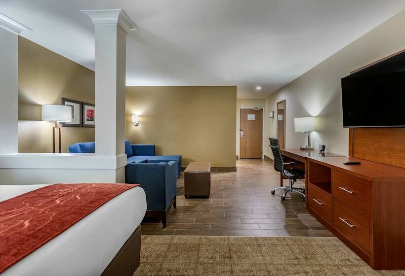 Люкс Адаптированный для Инвалидов, Comfort Suites