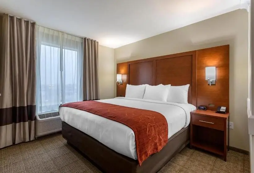 Sviitti King-vuode, Comfort Suites
