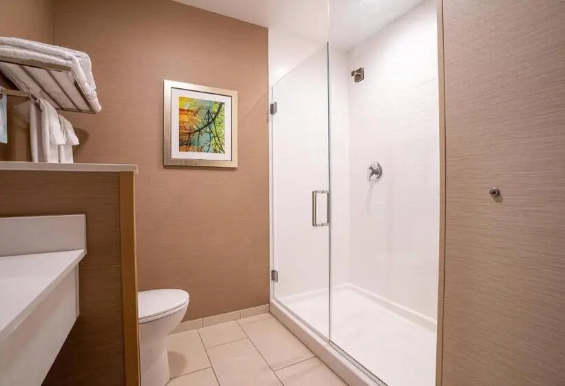 スイート, Fairfield Inn & Suites By Marriott Somerset