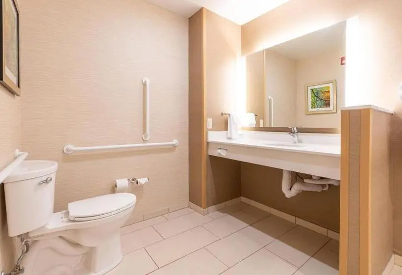キングサイズベッドのスタンダードルーム, Fairfield Inn & Suites By Marriott Somerset
