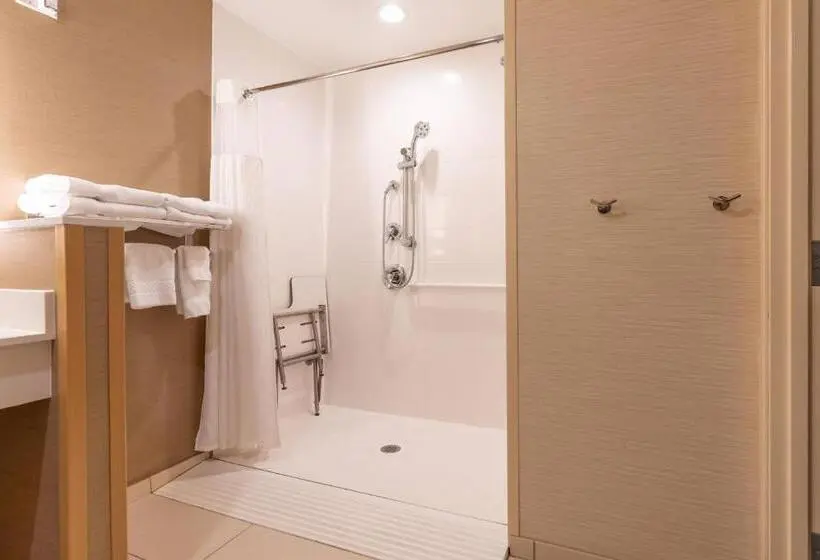 キングサイズベッドのスタンダードルーム, Fairfield Inn & Suites By Marriott Somerset
