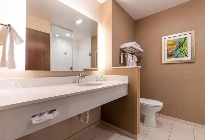 キングサイズベッドのスタンダードルーム, Fairfield Inn & Suites By Marriott Somerset