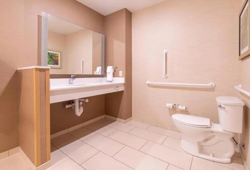 スタンダードルーム, Fairfield Inn & Suites By Marriott Somerset
