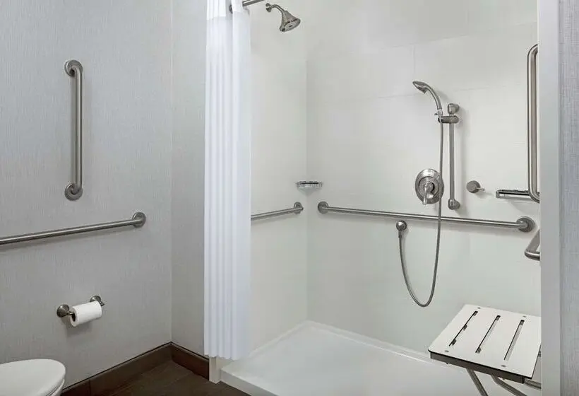 身障者適用キングサイズベッドルーム, Hampton Inn & Suites Teaneck Glenpointe