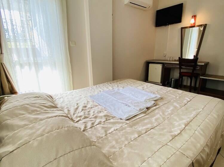 Camera Standard, Lemon