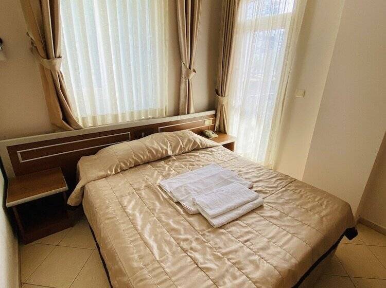 Camera Standard, Lemon