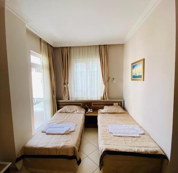 Camera Standard, Lemon