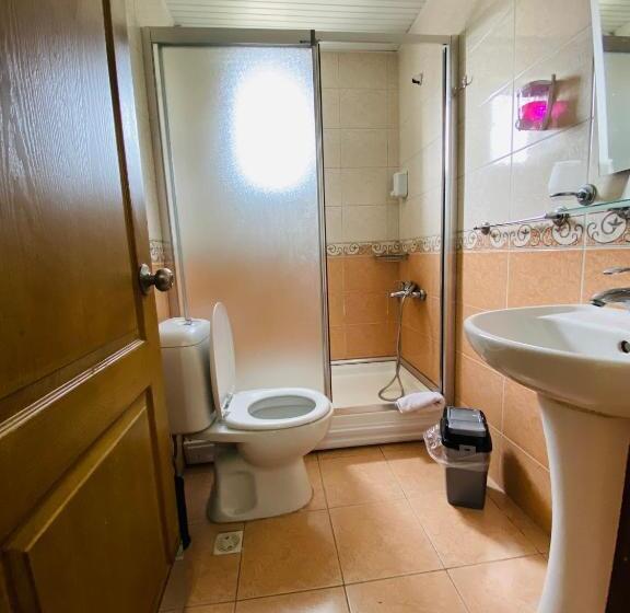 Camera Standard, Lemon