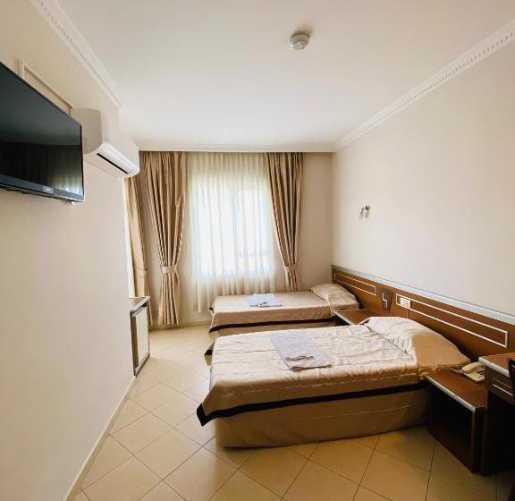 Camera Standard, Lemon