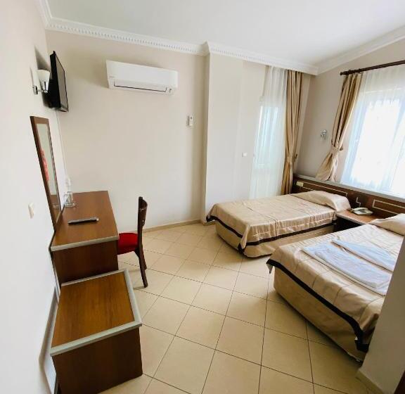 Camera Standard, Lemon