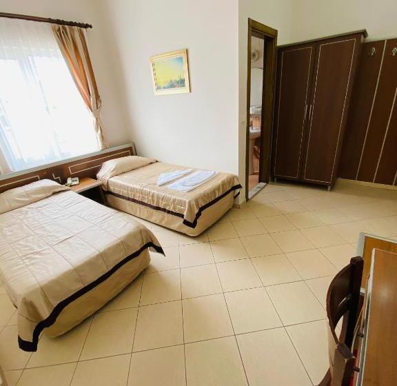 Camera Standard, Lemon