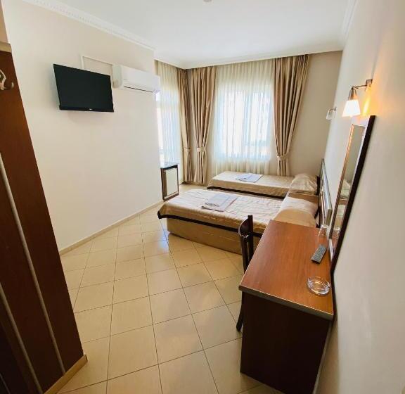 Camera Standard, Lemon