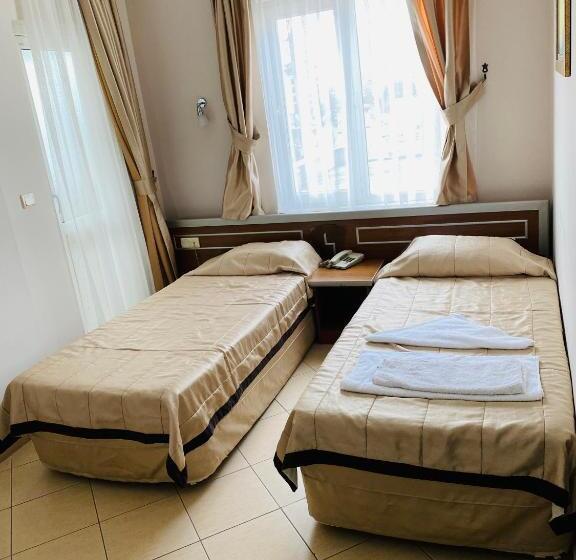 Camera Standard, Lemon