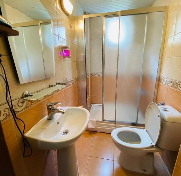 Camera Standard Individuale, Lemon