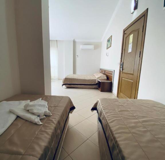 Camera Quadrupla Standard, Lemon