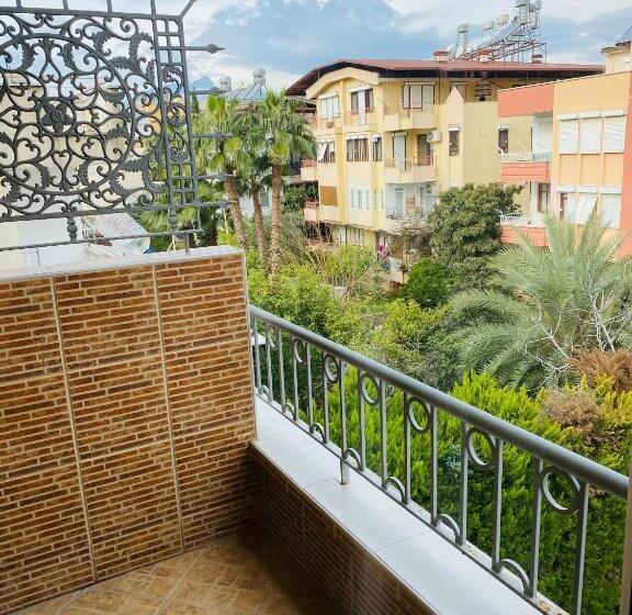 Camera Standard, Lemon