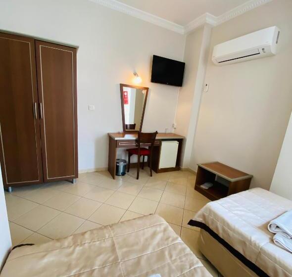 Camera Standard, Lemon