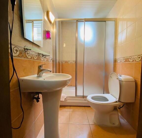 Camera Standard, Lemon