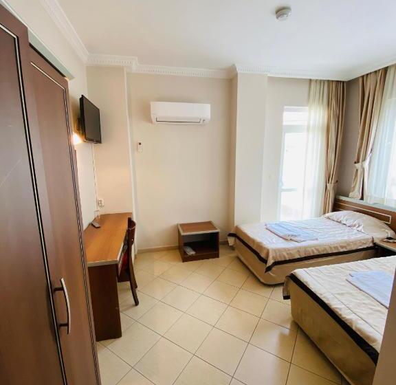 Camera Standard, Lemon