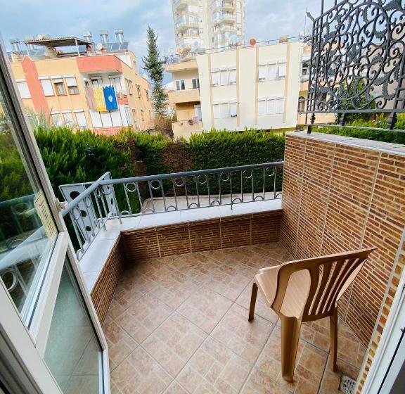 Camera Standard, Lemon