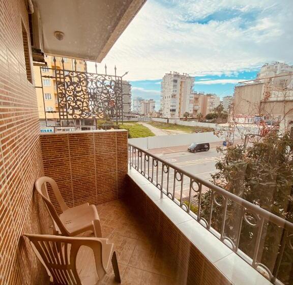 Camera Standard, Lemon