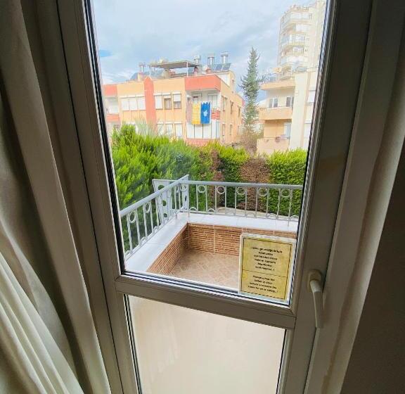 Camera Standard, Lemon