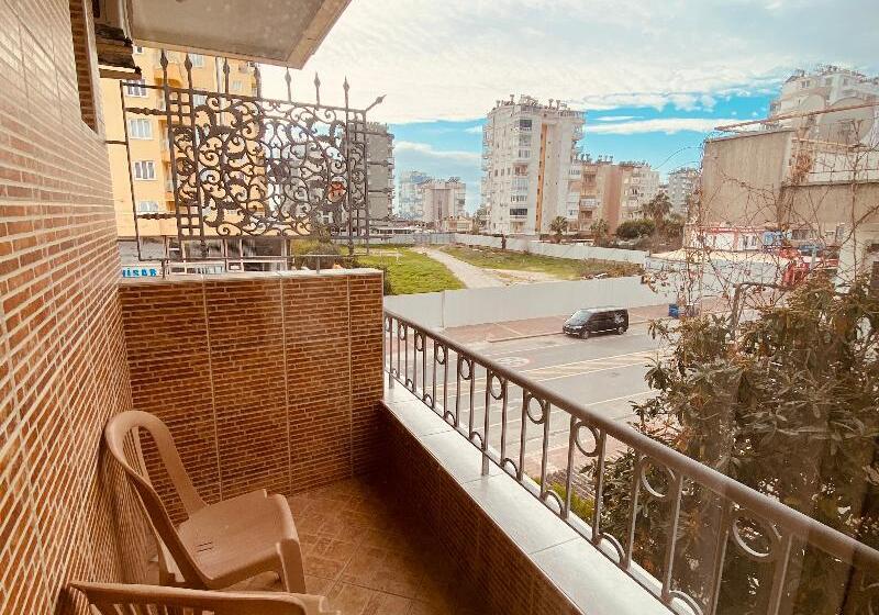 Camera Standard, Lemon