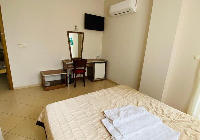 Camera Standard, Lemon