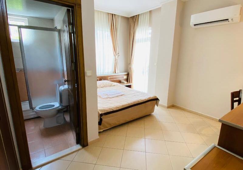 Camera Standard, Lemon