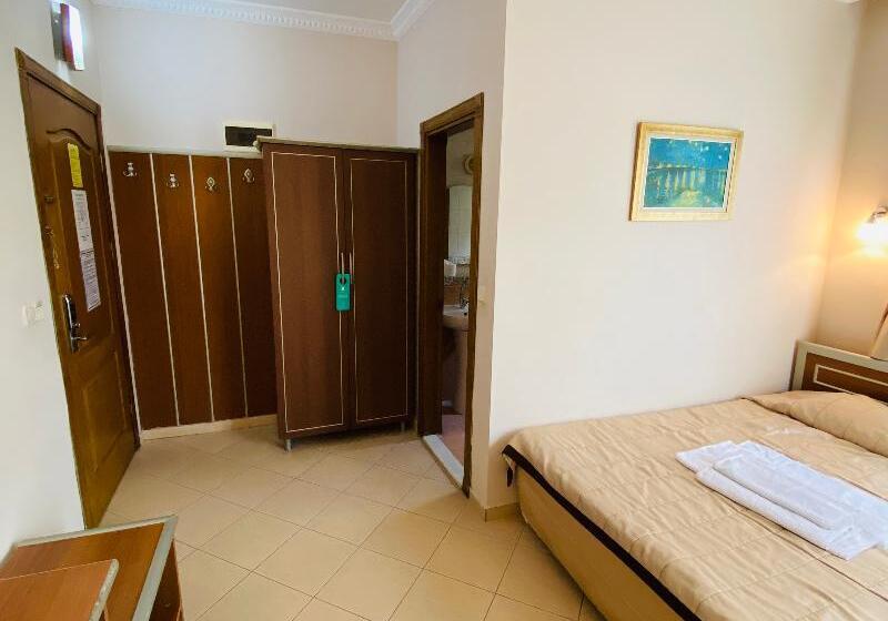 Camera Standard, Lemon