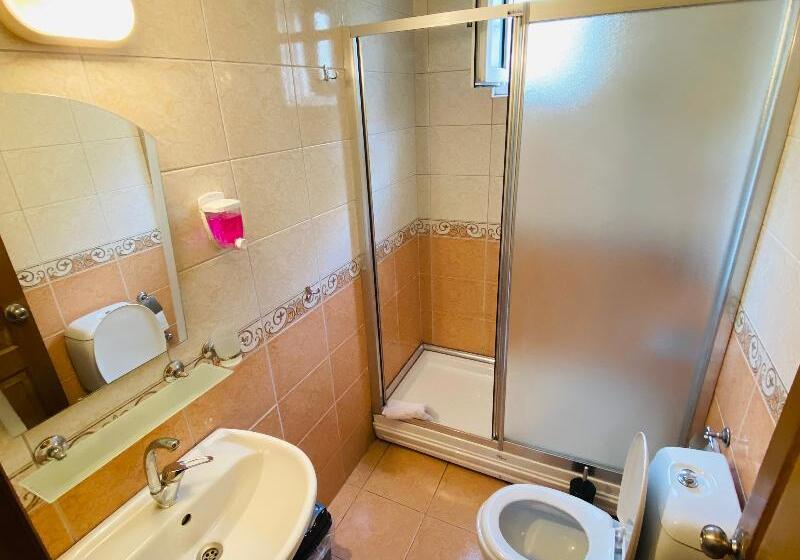 Camera Standard, Lemon