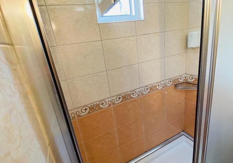 Camera Standard, Lemon