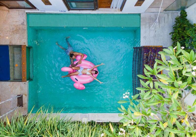 Camera Quadrupla Standard, Lemon