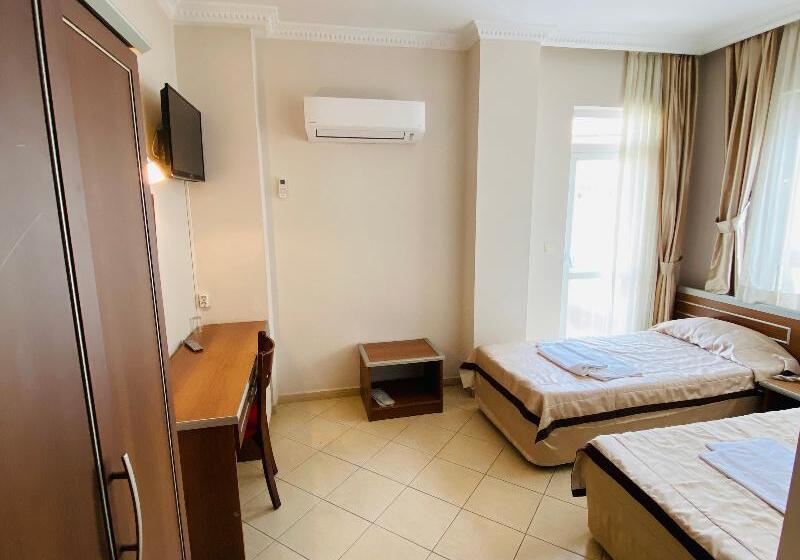 Camera Standard, Lemon