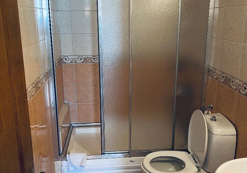 Camera Standard, Lemon