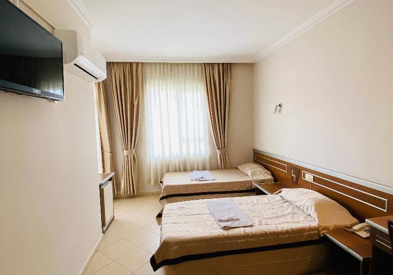 Camera Standard, Lemon