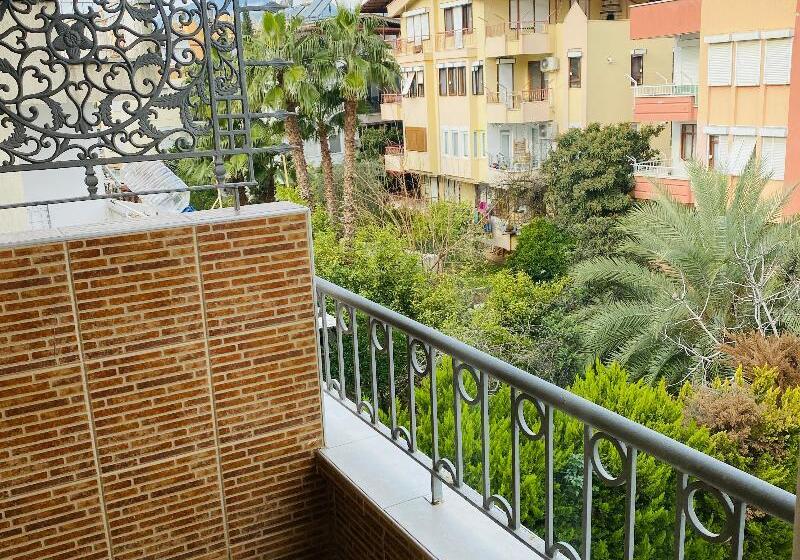 Camera Standard, Lemon