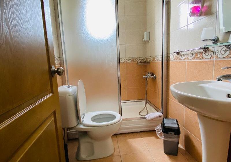 Camera Standard, Lemon