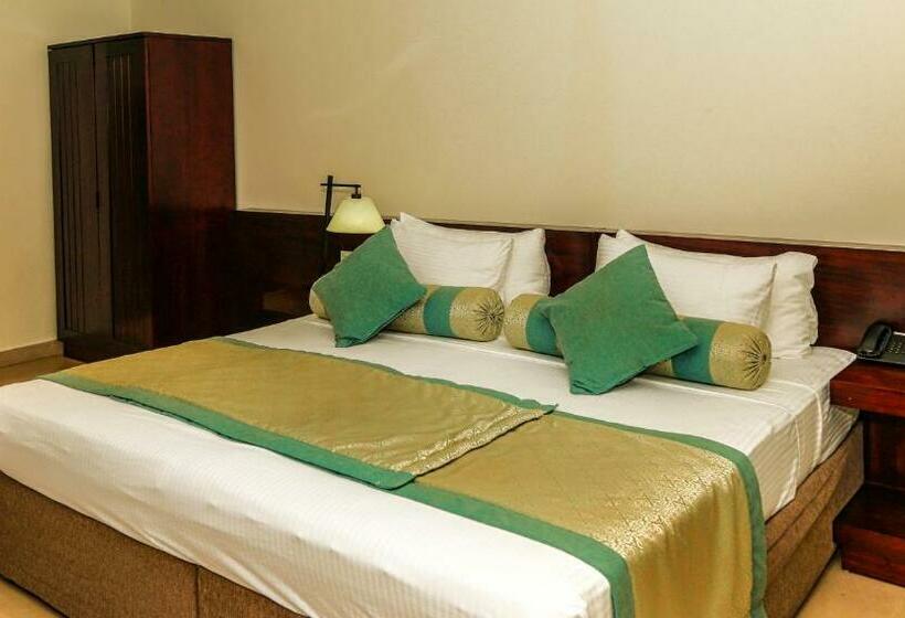 标准间, Oak Ray Heritage