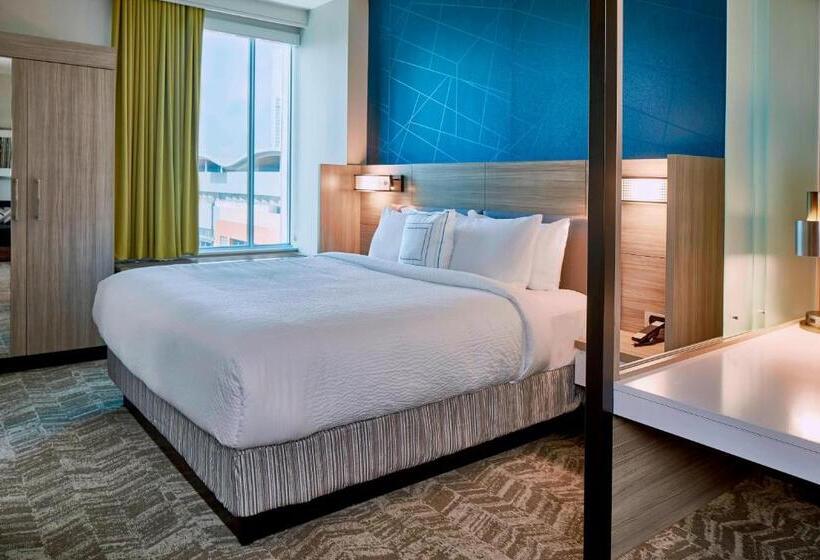سوئیت با تخت بزرگ, Springhill Suites by Marriott Nashville Downtown/Convention Center